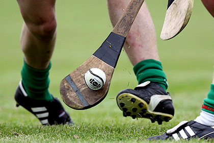 The hoganstand.com hurling team of the week